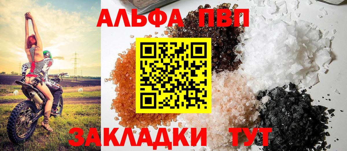A PVP СК Грозный