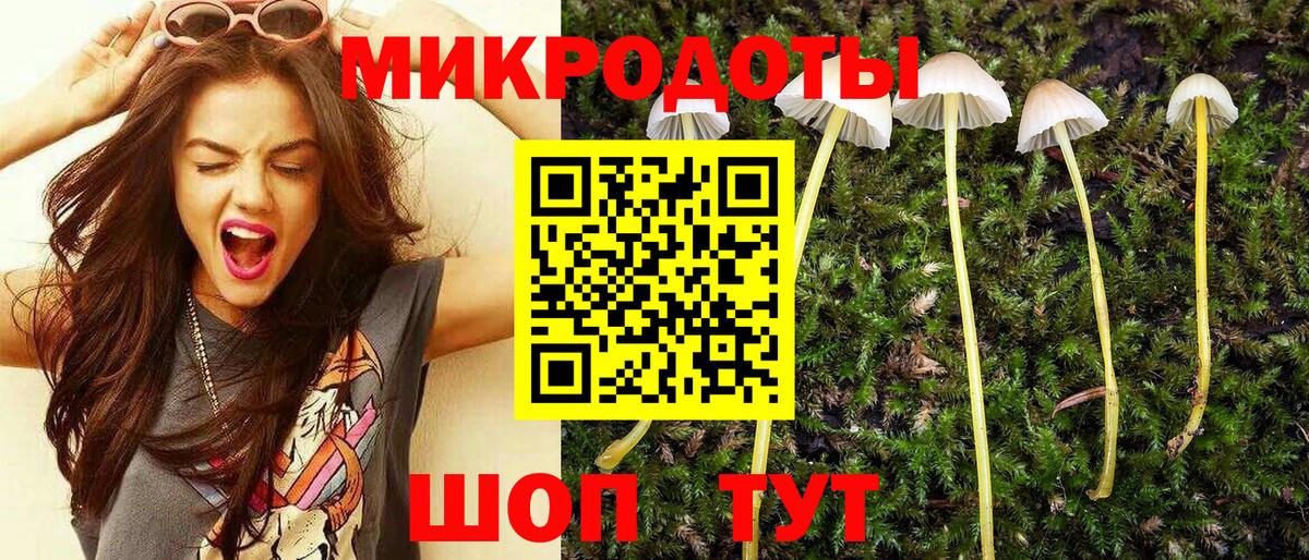 Грозный  Галлюциногенные грибы Magic Shrooms  Вход с VPN  Псилоцибиновые грибы мухоморы 