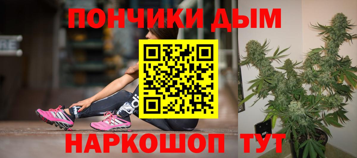 Каннабис сатива Грозный